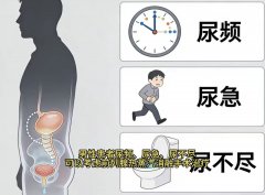 <b>ǰ����������������������</b>